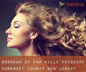 Borough of Far Hills friseure (Somerset County, New Jersey)