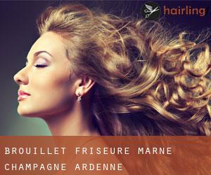 Brouillet friseure (Marne, Champagne-Ardenne)