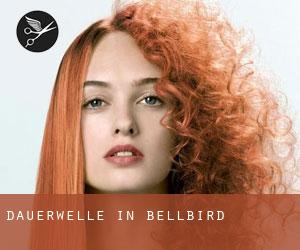 Dauerwelle in Bellbird