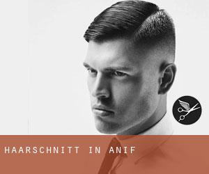 Haarschnitt in Anif