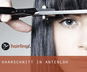 Haarschnitt in Antenloh