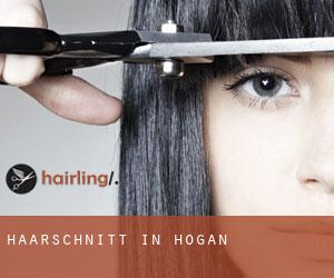 Haarschnitt in Hogan