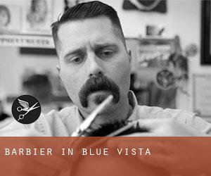 Barbier in Blue Vista