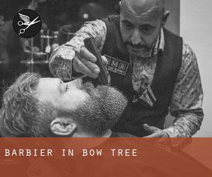 Barbier in Bow Tree