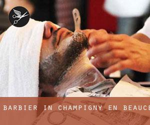 Barbier in Champigny-en-Beauce