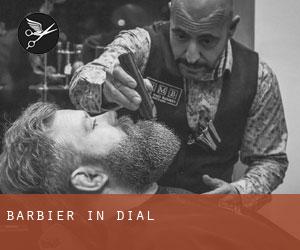 Barbier in Dial