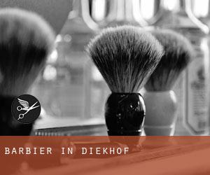 Barbier in Diekhof