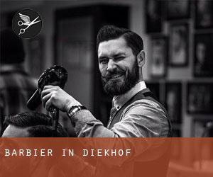 Barbier in Diekhof
