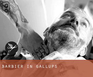 Barbier in Gallups