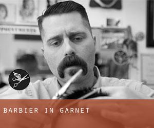 Barbier in Garnet