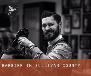 Barbier in Sullivan County