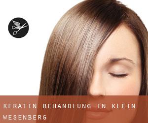 Keratin Behandlung in Klein Wesenberg