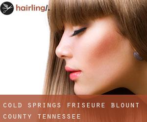 Cold Springs friseure (Blount County, Tennessee)