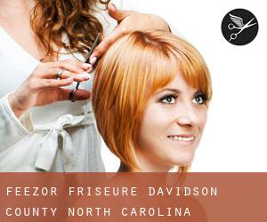 Feezor friseure (Davidson County, North Carolina)