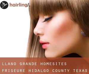 Llano Grande Homesites friseure (Hidalgo County, Texas)
