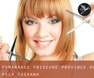 Pomarance friseure (Province of Pisa, Toskana)