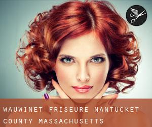 Wauwinet friseure (Nantucket County, Massachusetts)