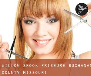 Willow Brook friseure (Buchanan County, Missouri)
